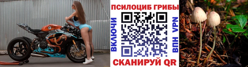 купить Белая Калитва Псилоцибиновые грибы Psilocybe